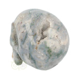 Mosagaat schedel 1.4 kg