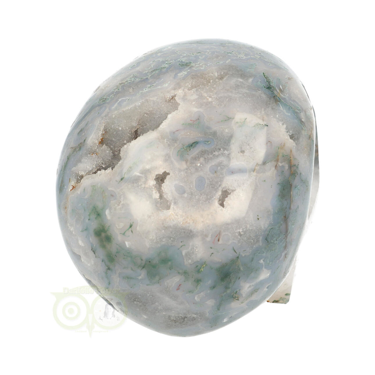 Mosagaat schedel 1.4 kg