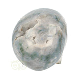 Mosagaat schedel 1.4 kg