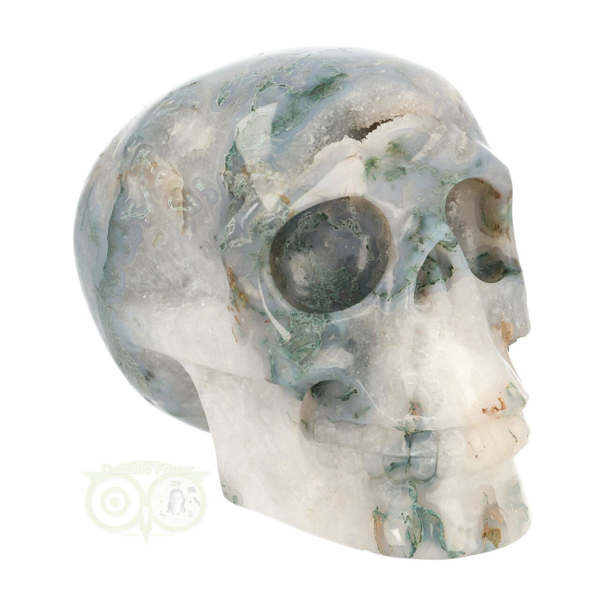 Mosagaat schedel 1.4 kg