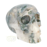Mosagaat schedel 1.4 kg