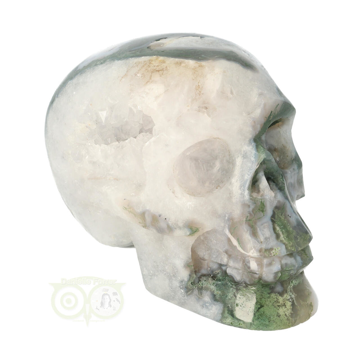 Mosagaat schedel 552 gram