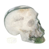 Mosagaat schedel 552 gram