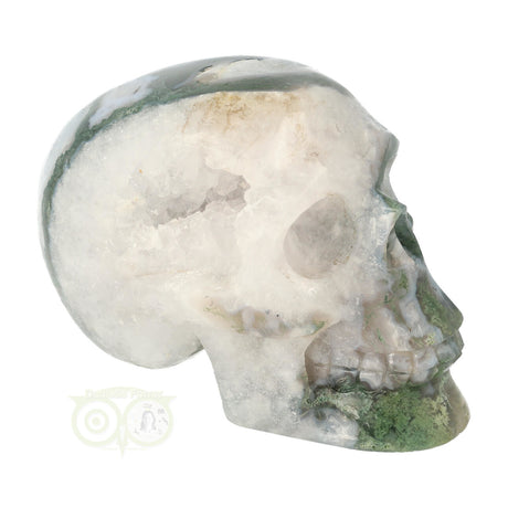 Mosagaat schedel 552 gram