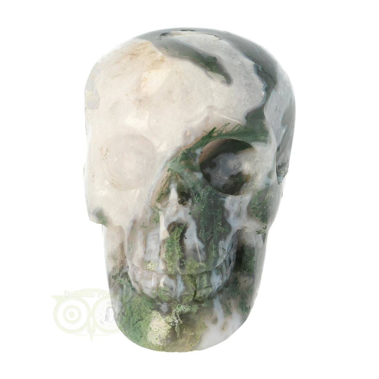 Mosagaat schedel 552 gram