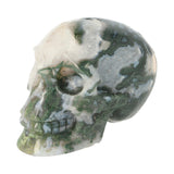 Mosagaat schedel 552 gram