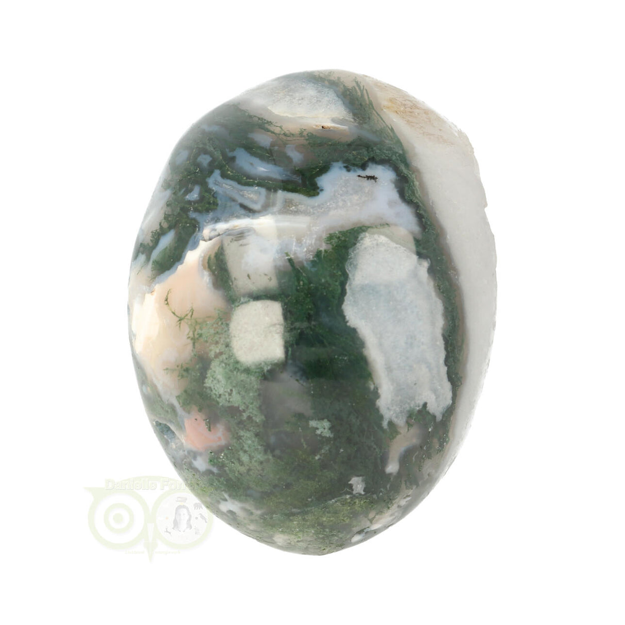 Mosagaat schedel 552 gram