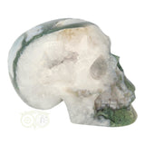 Mosagaat schedel 552 gram