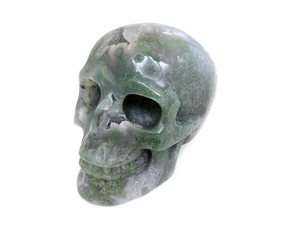 Mosagaat schedel 909 gram