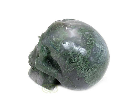 Mosagaat schedel 909 gram
