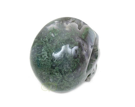 Mosagaat schedel 909 gram