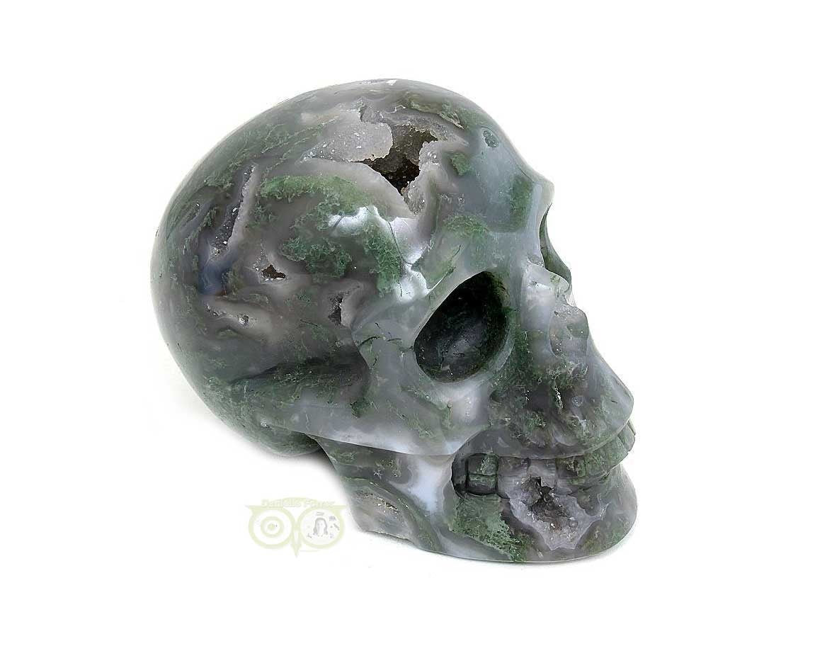 Mosagaat schedel 909 gram