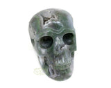 Mosagaat schedel 909 gram