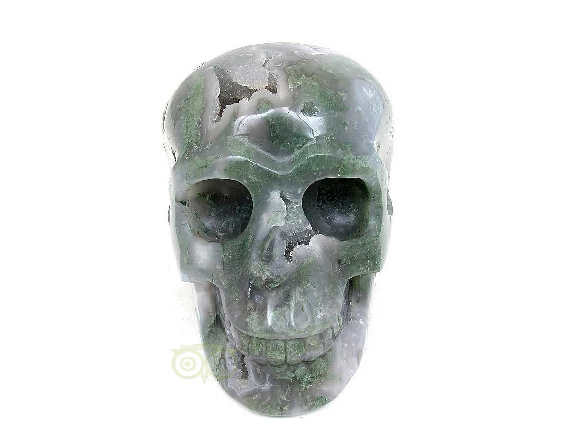 Mosagaat schedel 909 gram