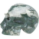 Mosagaat schedel 983 gram