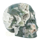 Mosagaat schedel 983 gram