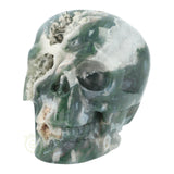 Mosagaat schedel 983 gram
