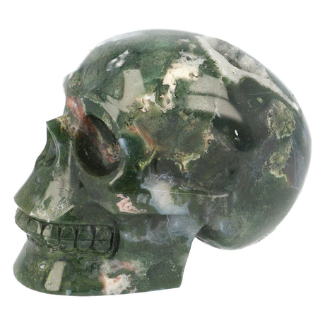 Mosagaat schedel 984 gram