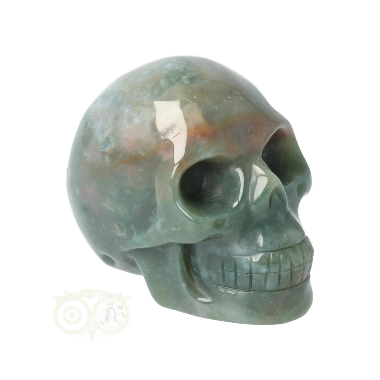 Mosagaat schedel Nr 14