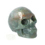Mosagaat schedel Nr 14
