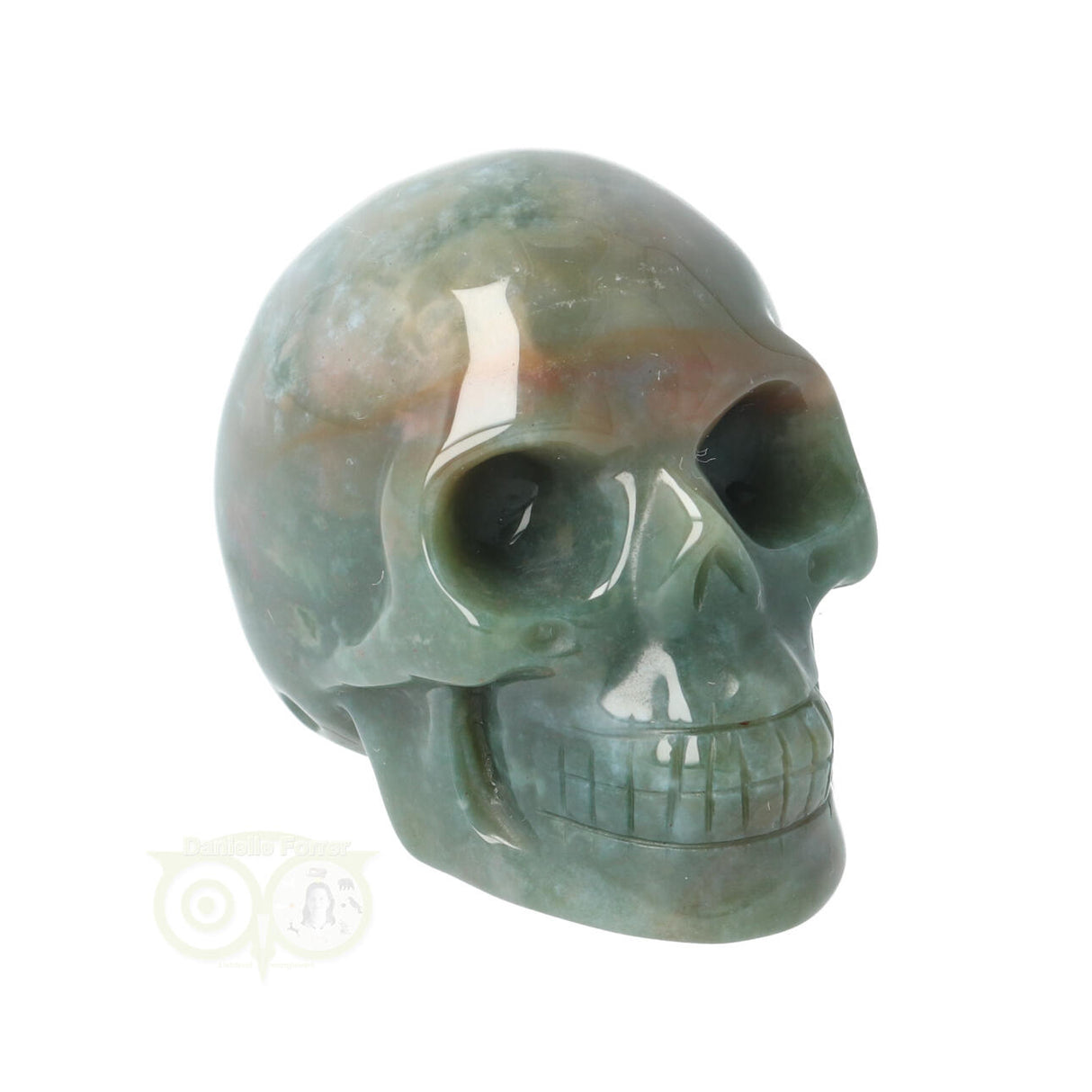 Mosagaat schedel Nr 14