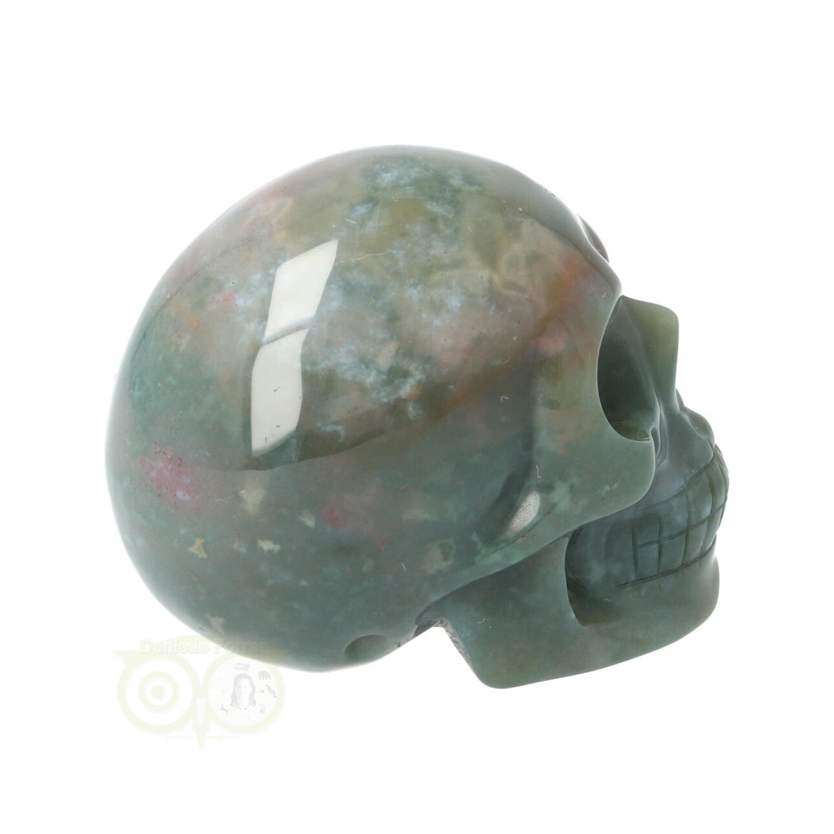 Mosagaat schedel Nr 14