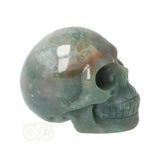Mosagaat schedel Nr 14