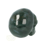 Mosagaat schedel Nr 19