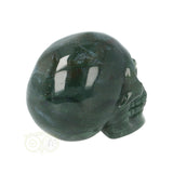 Mosagaat schedel Nr 19