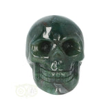 Mosagaat schedel Nr 19