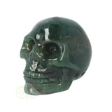 Mosagaat schedel Nr 19