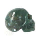 Mosagaat schedel Nr 21