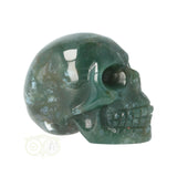Mosagaat schedel Nr 21