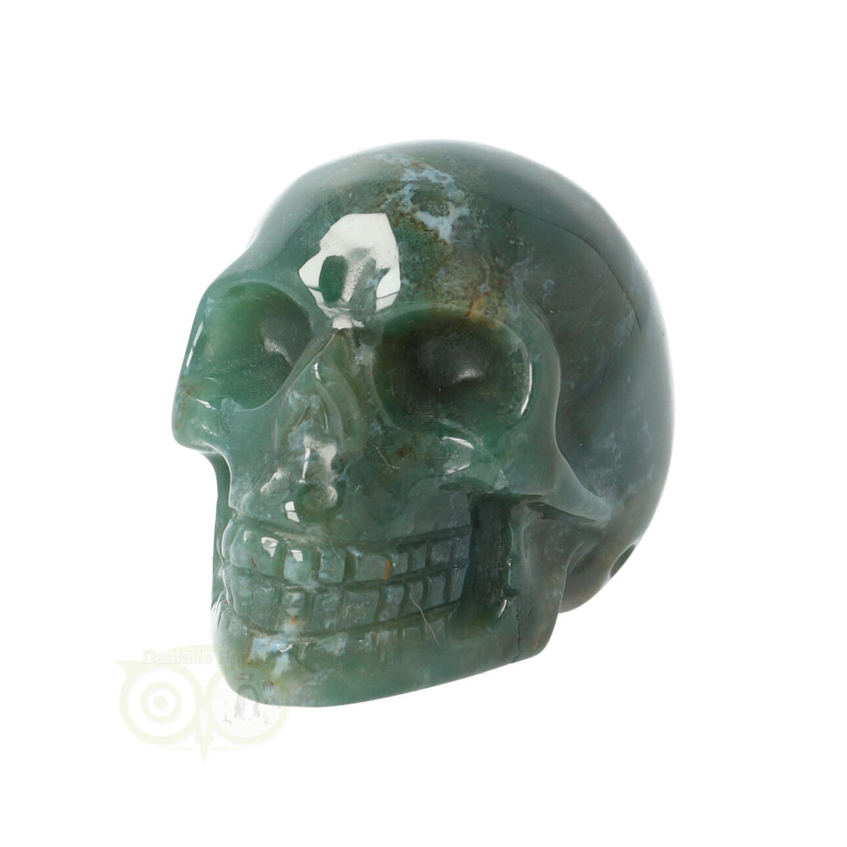 Mosagaat schedel Nr 21