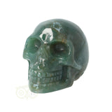 Mosagaat schedel Nr 21