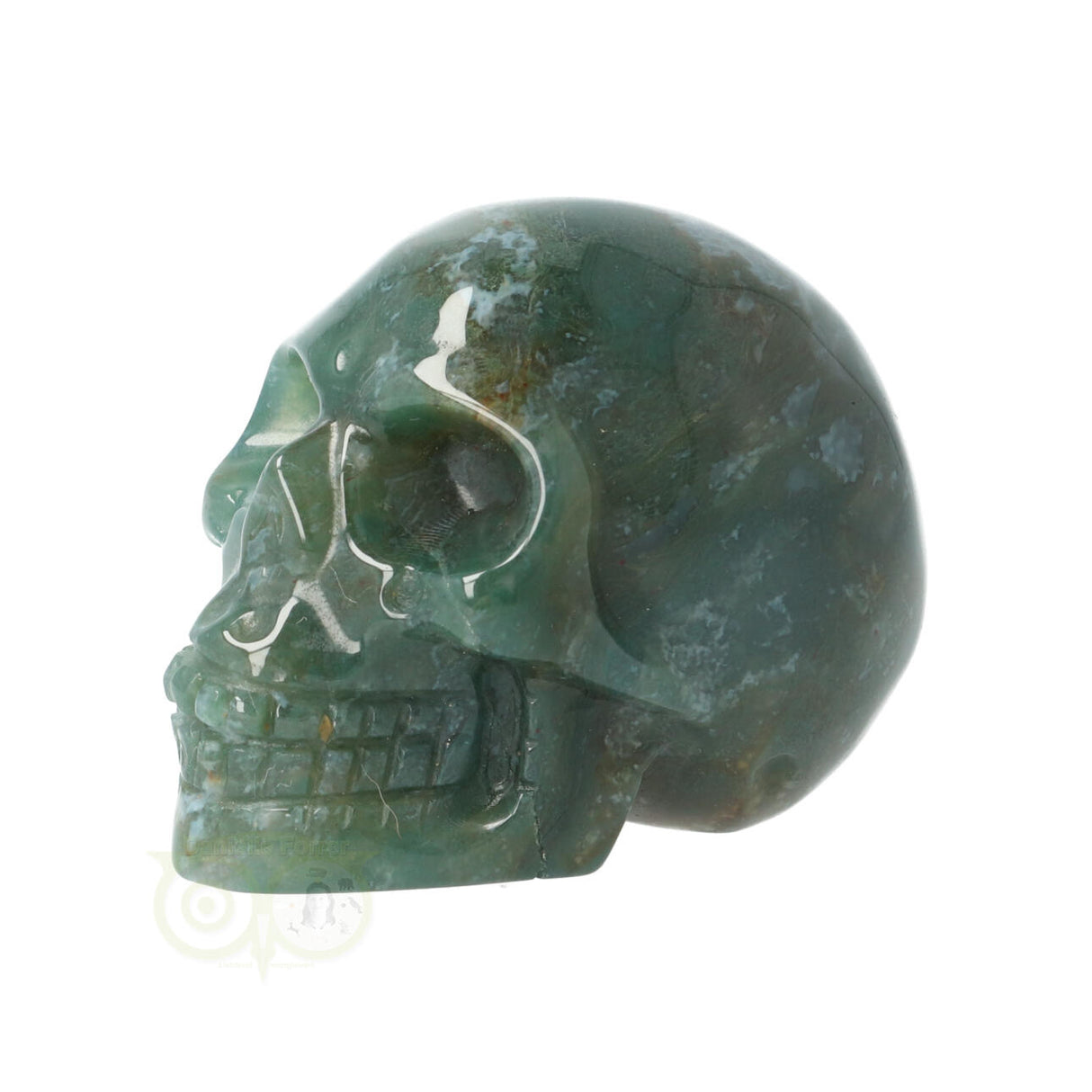 Mosagaat schedel Nr 21