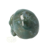 Mosagaat schedel Nr 21