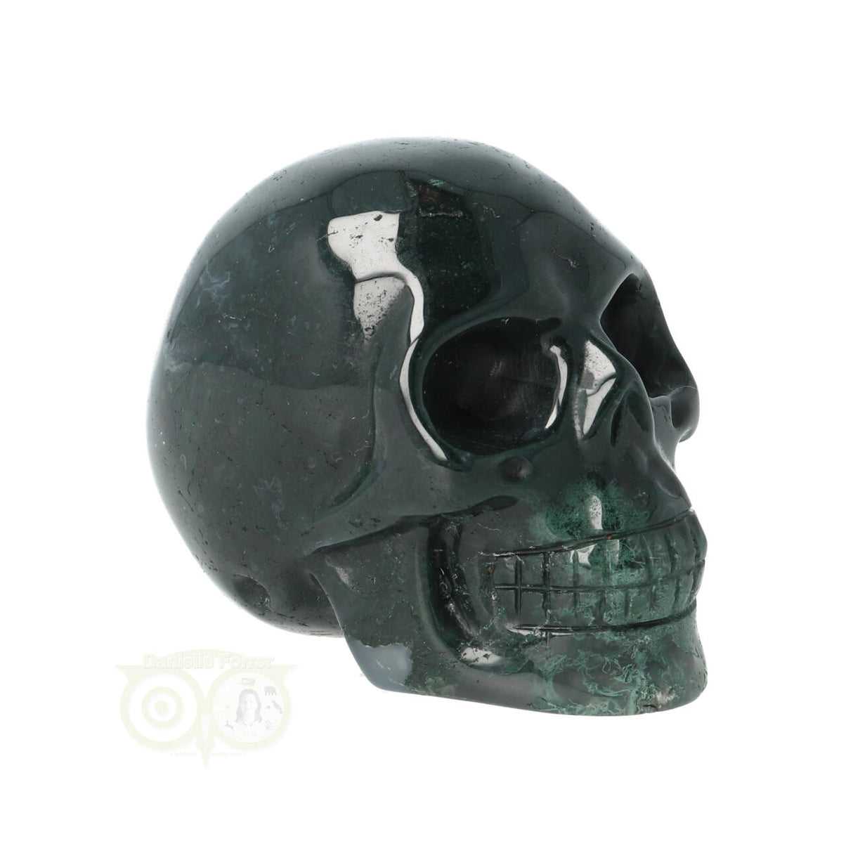 Mosagaat schedel Nr 24