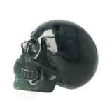 Mosagaat schedel Nr 24