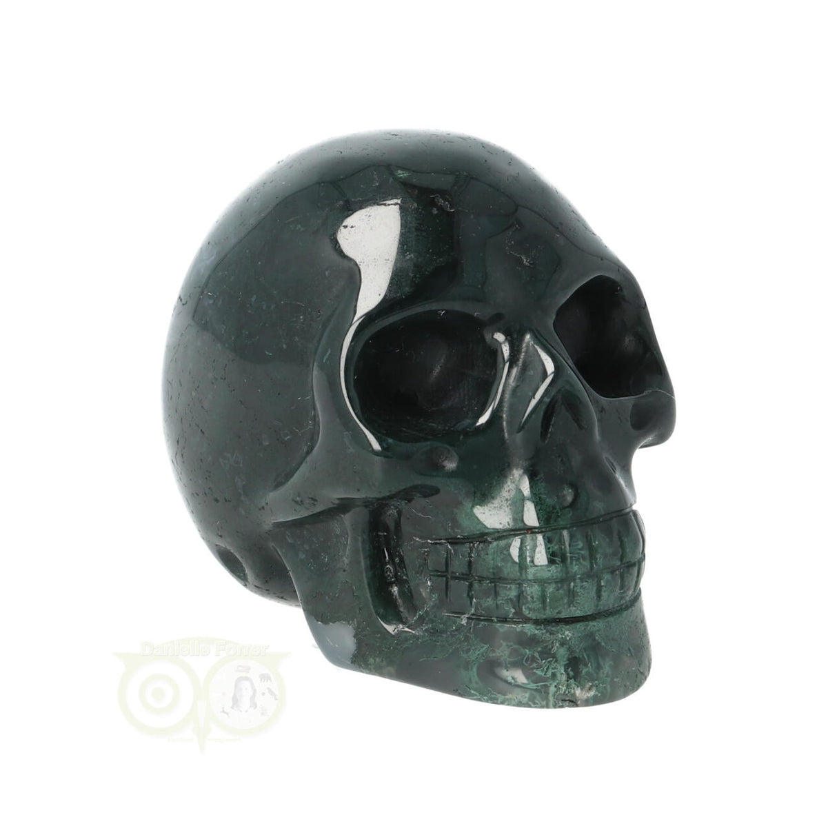 Mosagaat schedel Nr 24