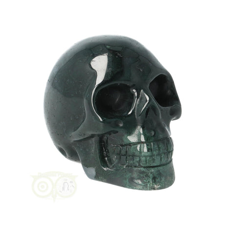 Mosagaat schedel Nr 24
