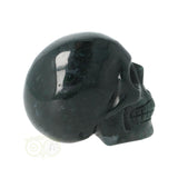 Mosagaat schedel Nr 24