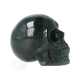 Mosagaat schedel Nr 24