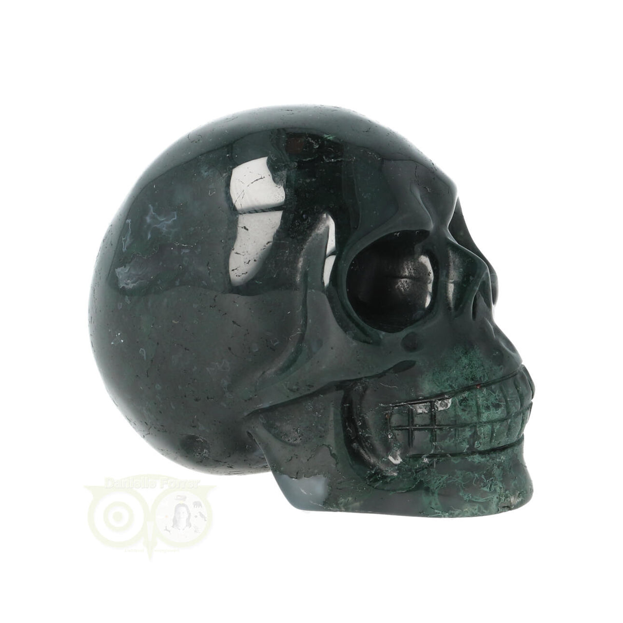 Mosagaat schedel Nr 24