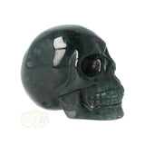 Mosagaat schedel Nr 24