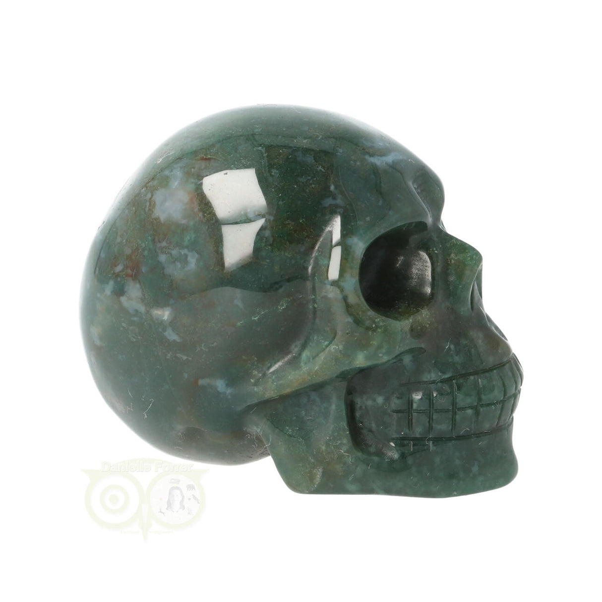 Mosagaat schedel Nr 25