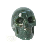 Mosagaat schedel Nr 25