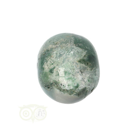 Moss agate tumbled stone round No. 18