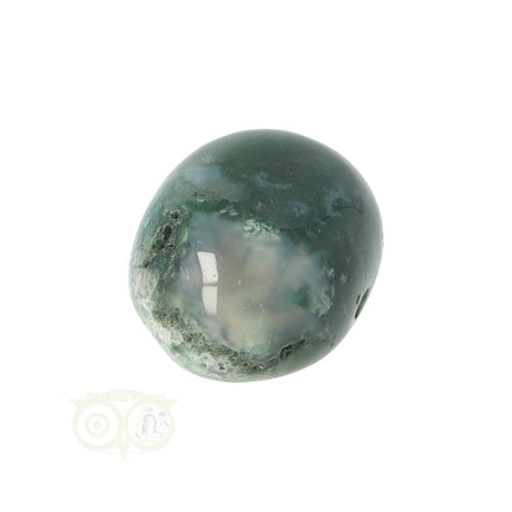 Moss agate tumbled stone round No. 18