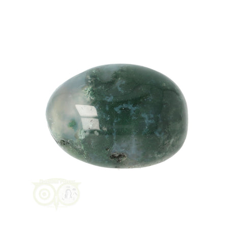 Moss agate tumbled stone round No. 18